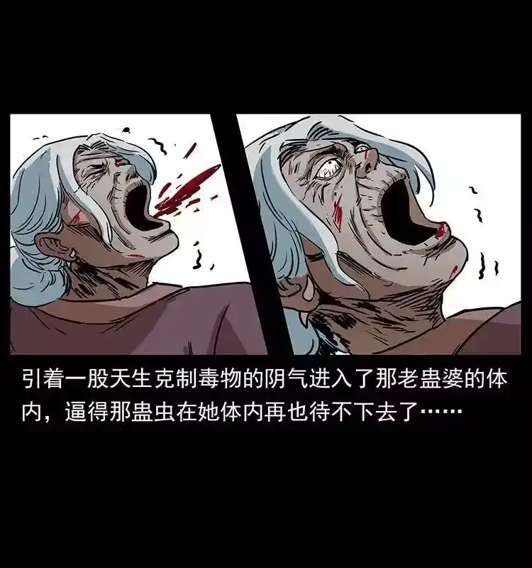 幽冥诡匠_h 298 让人头大的落花洞女 第46页