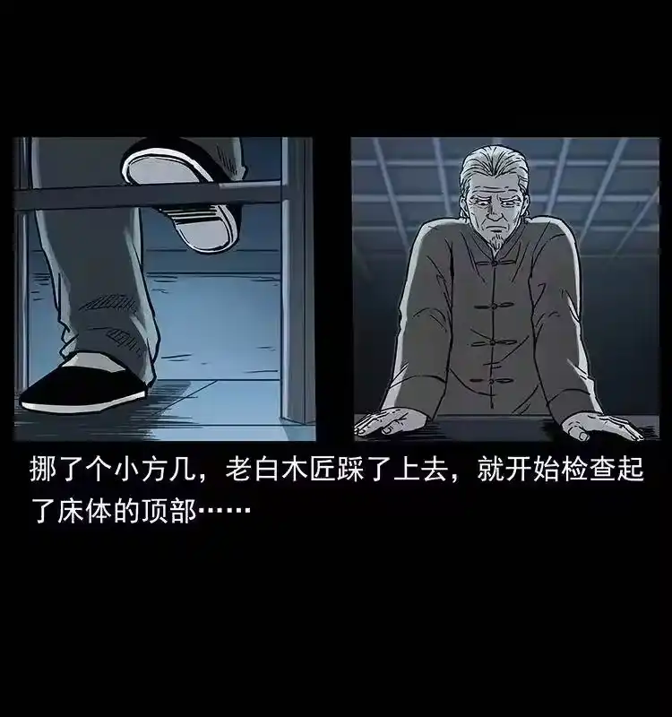 幽冥诡匠_h 306 怨鬼？精怪？ 第13页
