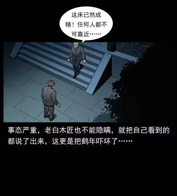 幽冥诡匠_h 306 怨鬼？精怪？ 第29页