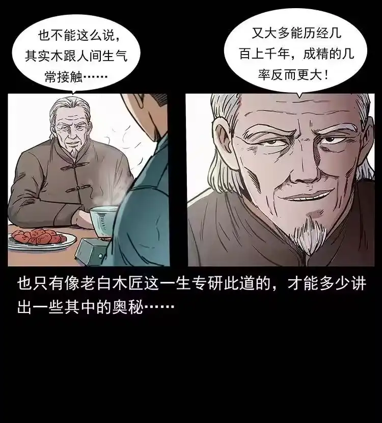幽冥诡匠_h 306 怨鬼？精怪？ 第38页