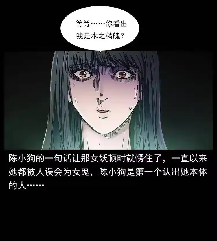 幽冥诡匠_h 306 怨鬼？精怪？ 第80页