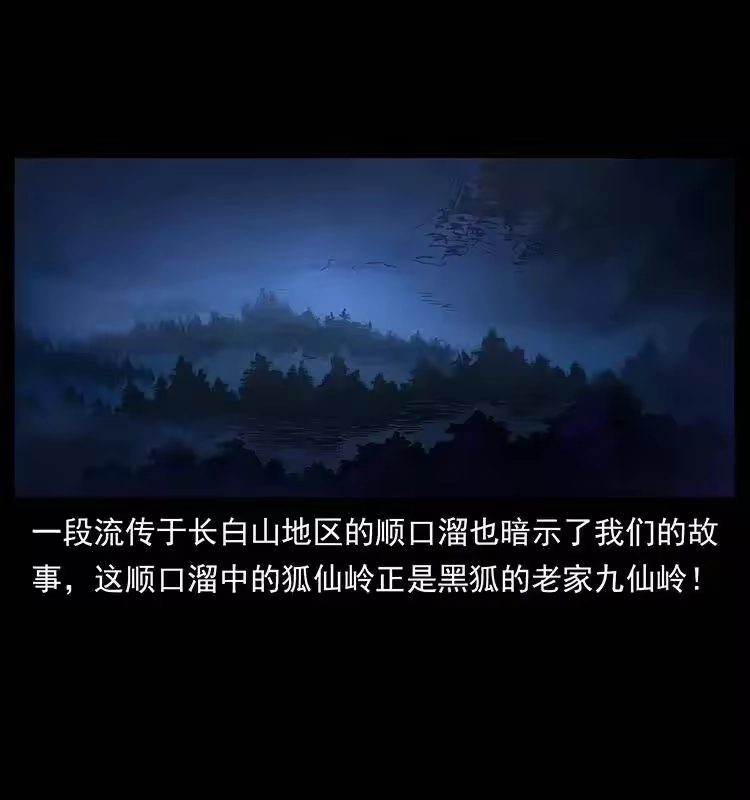 幽冥诡匠_h 310 黑狐的神仙日子 第3页