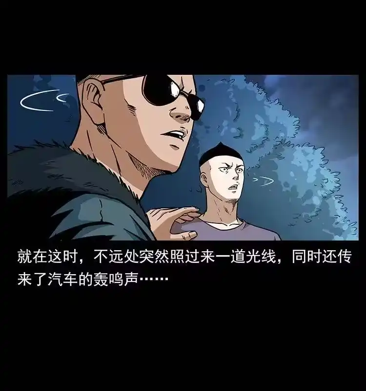 幽冥诡匠_h 311 一窝生几个？ 第13页