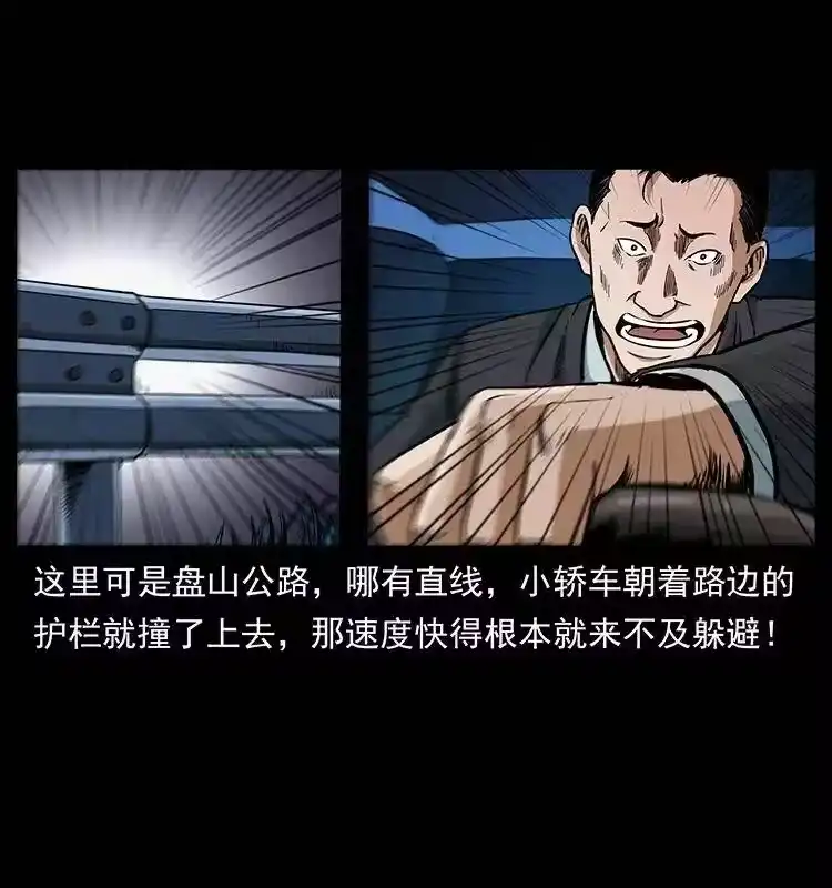 幽冥诡匠_h 311 一窝生几个？ 第21页