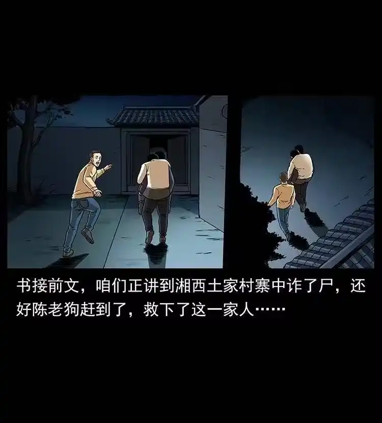 幽冥诡匠_h 313 兽形僵尸 第2页