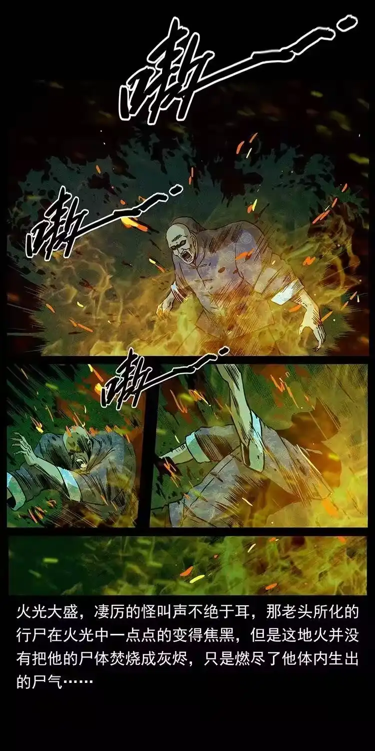 幽冥诡匠_h 313 兽形僵尸 第26页
