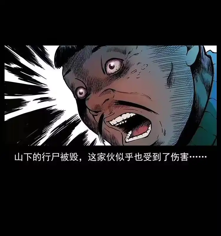 幽冥诡匠_h 313 兽形僵尸 第30页