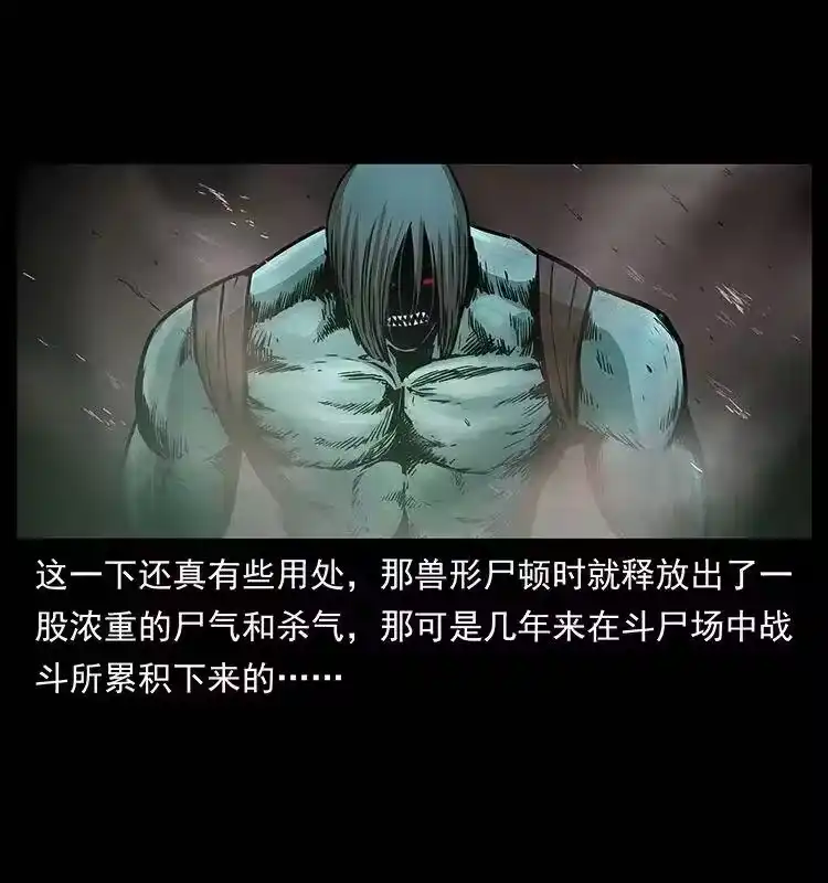 幽冥诡匠_h 313 兽形僵尸 第68页