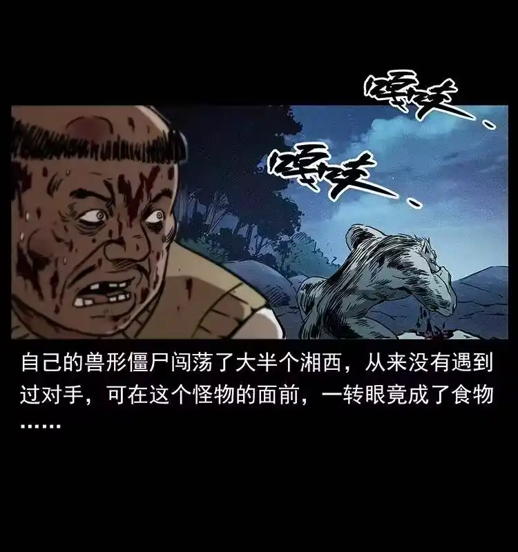 幽冥诡匠_h 313 兽形僵尸 第77页