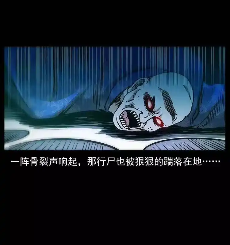 幽冥诡匠_h 313 兽形僵尸 第8页