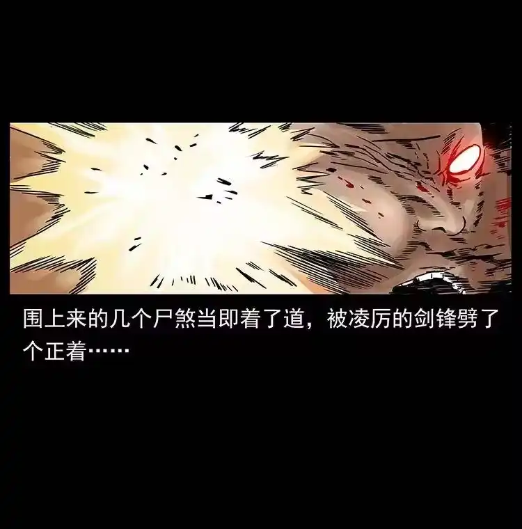 幽冥诡匠_h 314 湘西斗尸 第17页