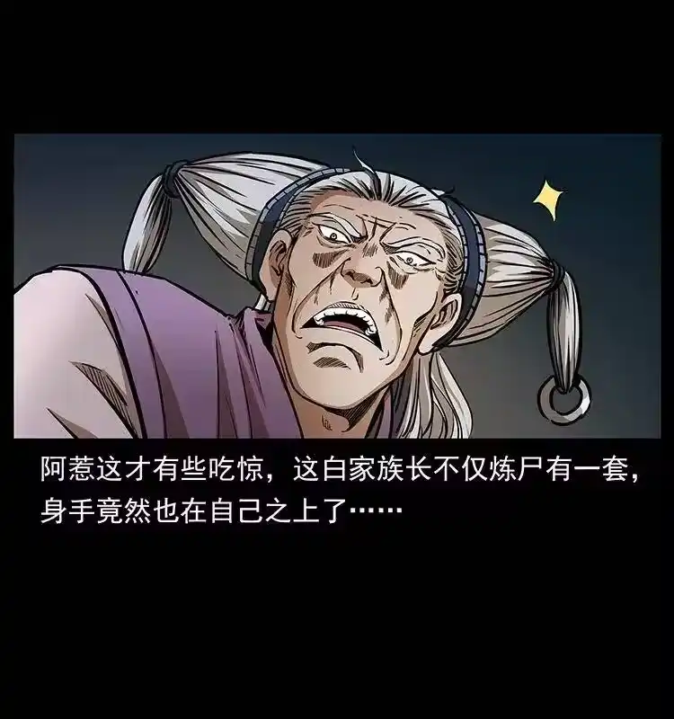 幽冥诡匠_h 314 湘西斗尸 第27页