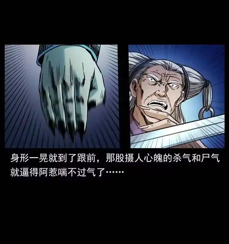 幽冥诡匠_h 314 湘西斗尸 第29页