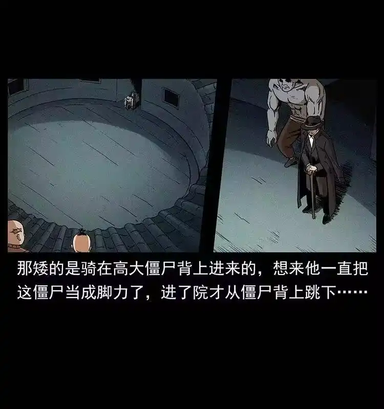幽冥诡匠_h 314 湘西斗尸 第51页