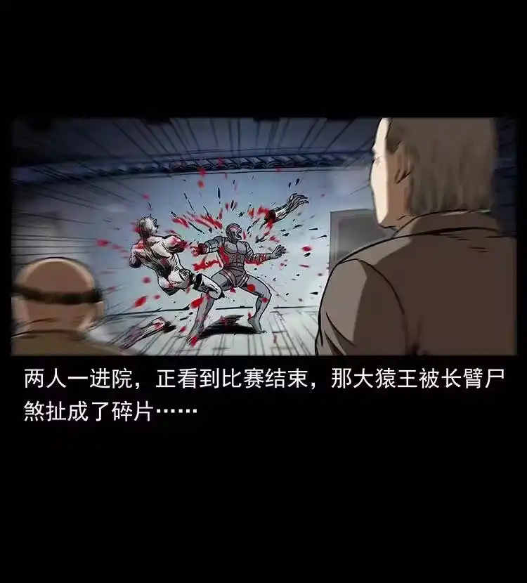幽冥诡匠_h 314 湘西斗尸 第83页