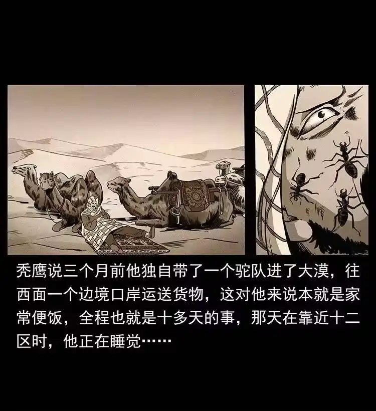 幽冥诡匠_h 317 大漠凶兽 第13页