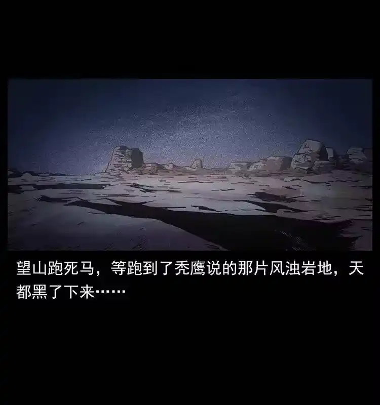 幽冥诡匠_h 318 沙漠秃鹰 第12页