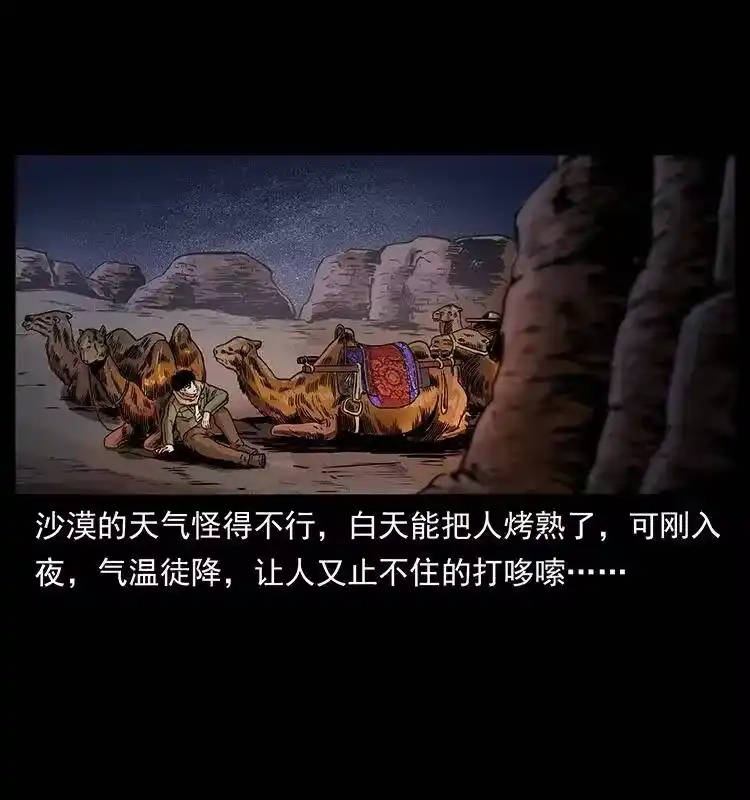 幽冥诡匠_h 318 沙漠秃鹰 第13页