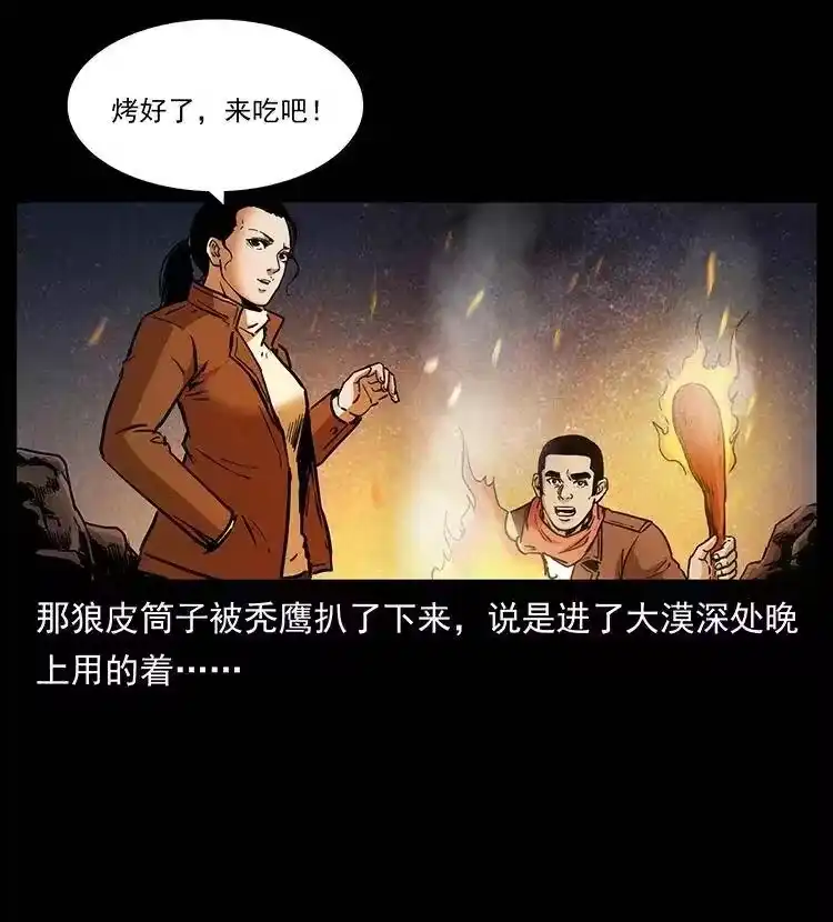 幽冥诡匠_h 318 沙漠秃鹰 第41页