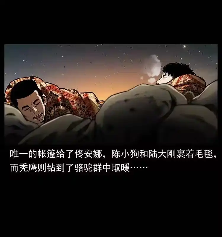 幽冥诡匠_h 319 进发凶地 第39页