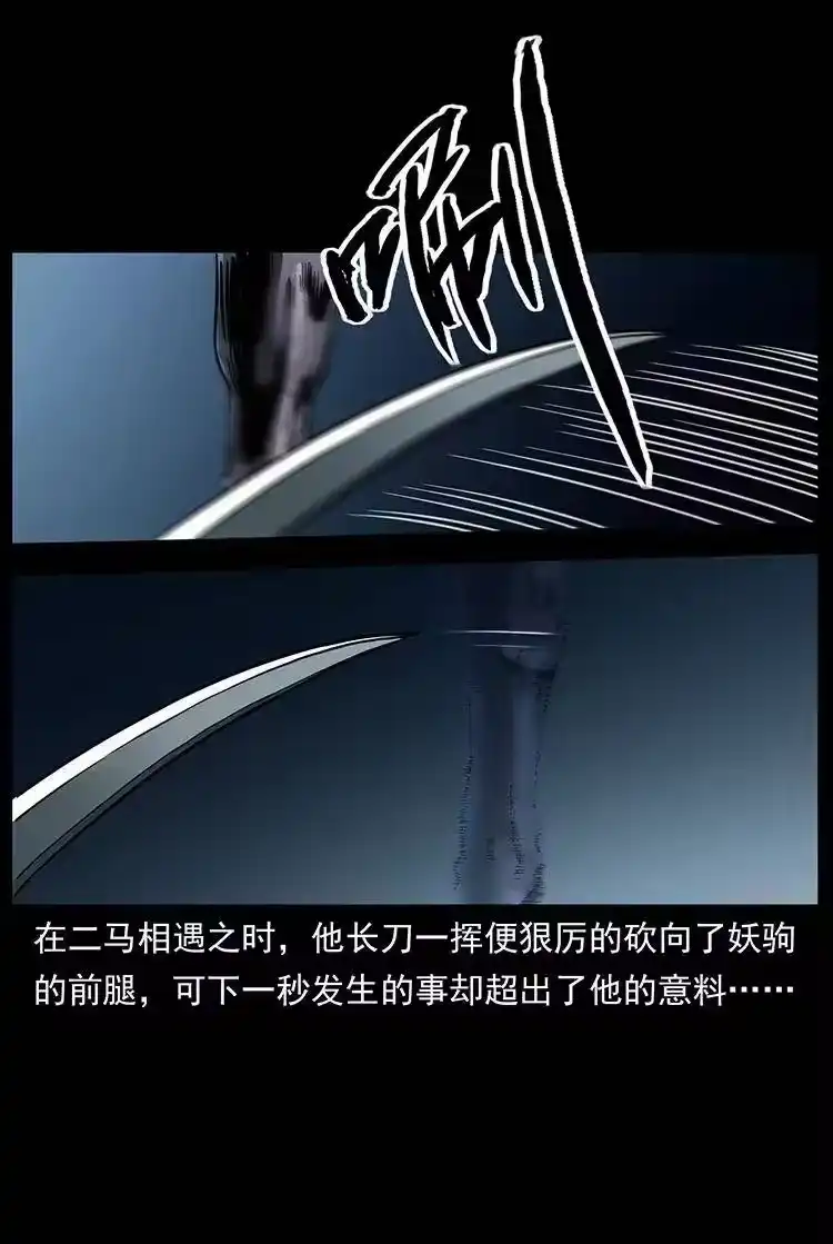 幽冥诡匠_h 326 妖驹乌云 第38页