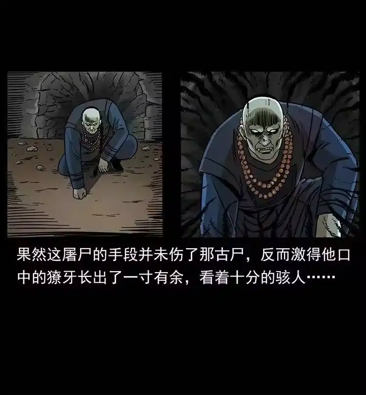 幽冥诡匠_h 329 这个老头不好惹 第47页