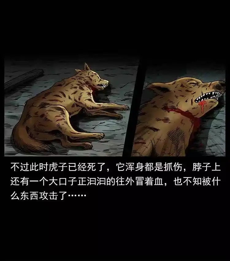 幽冥诡匠_h 333 湘西的下马威 第8页