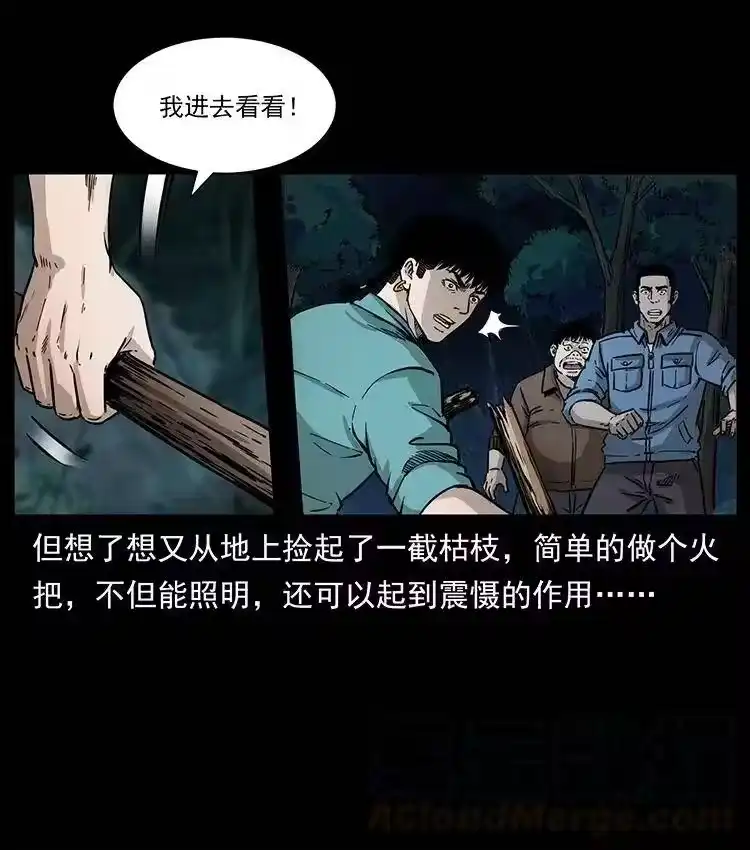 幽冥诡匠_h 342 白毛僵尸 第13页