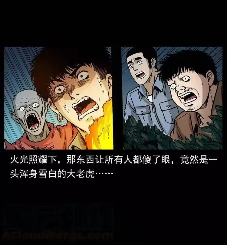 幽冥诡匠_h 342 白毛僵尸 第21页