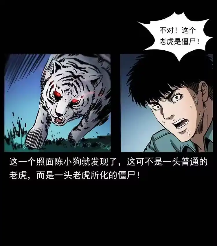 幽冥诡匠_h 342 白毛僵尸 第23页