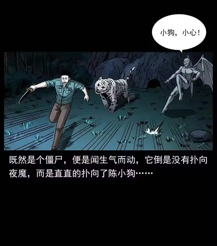幽冥诡匠_h 342 白毛僵尸 第24页