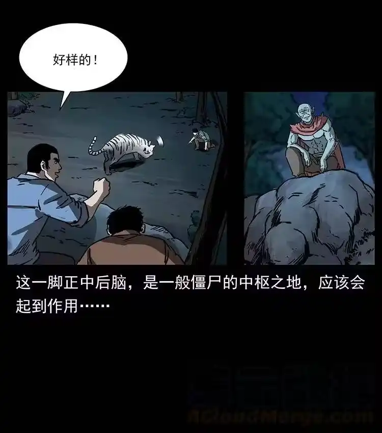 幽冥诡匠_h 342 白毛僵尸 第29页