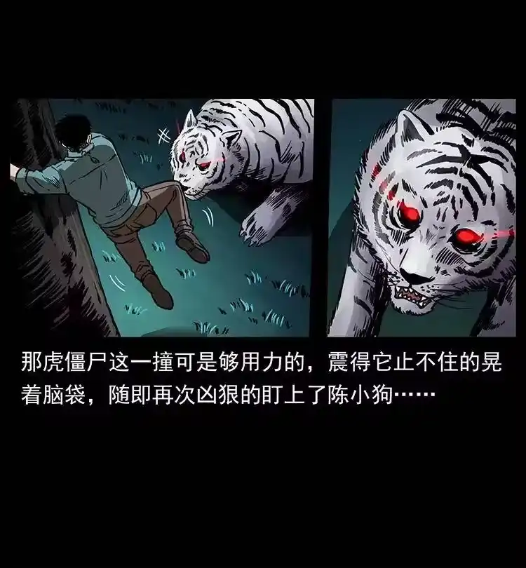 幽冥诡匠_h 342 白毛僵尸 第38页