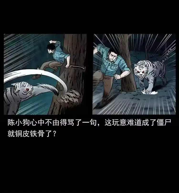 幽冥诡匠_h 342 白毛僵尸 第39页