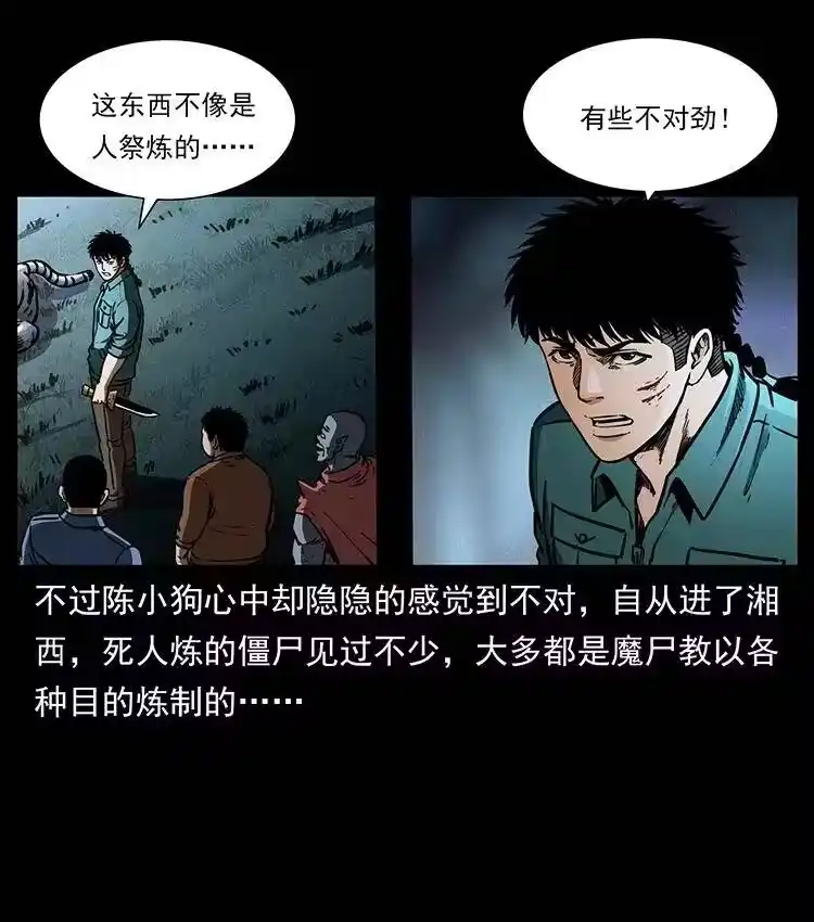 幽冥诡匠_h 342 白毛僵尸 第56页
