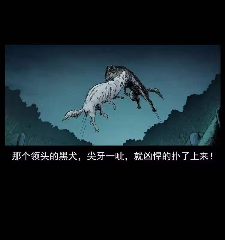 幽冥诡匠_h 344 刨尸狗&大冥皇 第10页