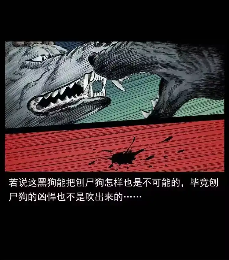 幽冥诡匠_h 344 刨尸狗&大冥皇 第11页