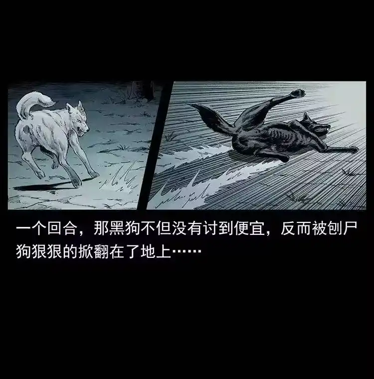 幽冥诡匠_h 344 刨尸狗&大冥皇 第12页