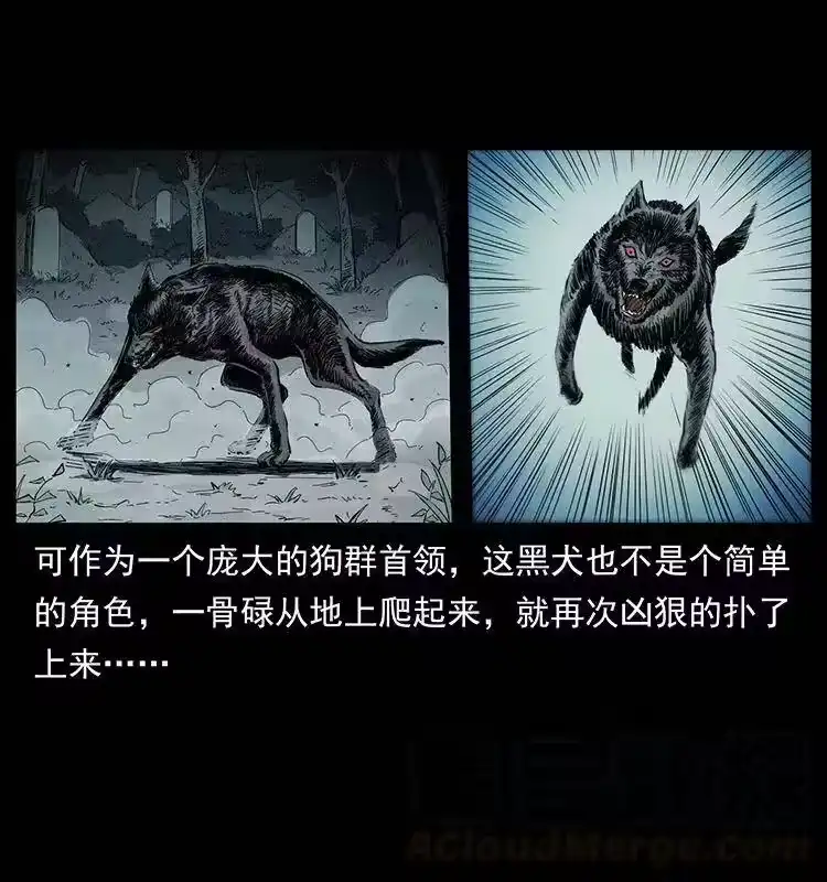 幽冥诡匠_h 344 刨尸狗&大冥皇 第13页