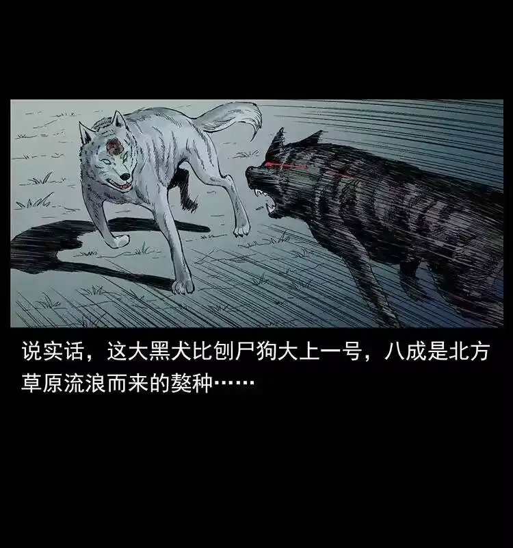 幽冥诡匠_h 344 刨尸狗&大冥皇 第14页