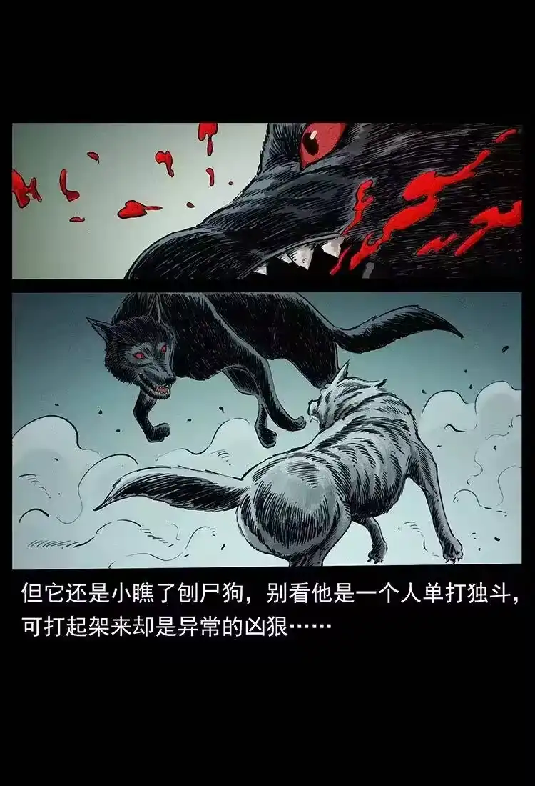 幽冥诡匠_h 344 刨尸狗&大冥皇 第16页