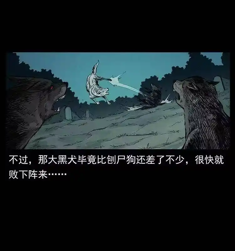 幽冥诡匠_h 344 刨尸狗&大冥皇 第18页