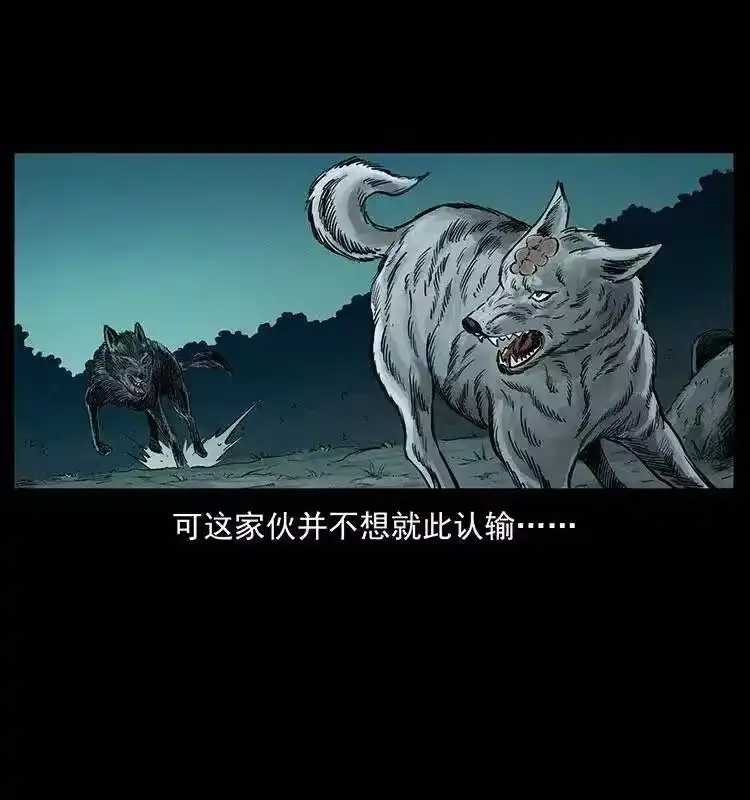 幽冥诡匠_h 344 刨尸狗&大冥皇 第19页