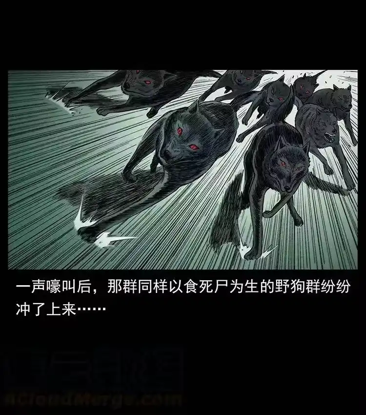 幽冥诡匠_h 344 刨尸狗&大冥皇 第21页