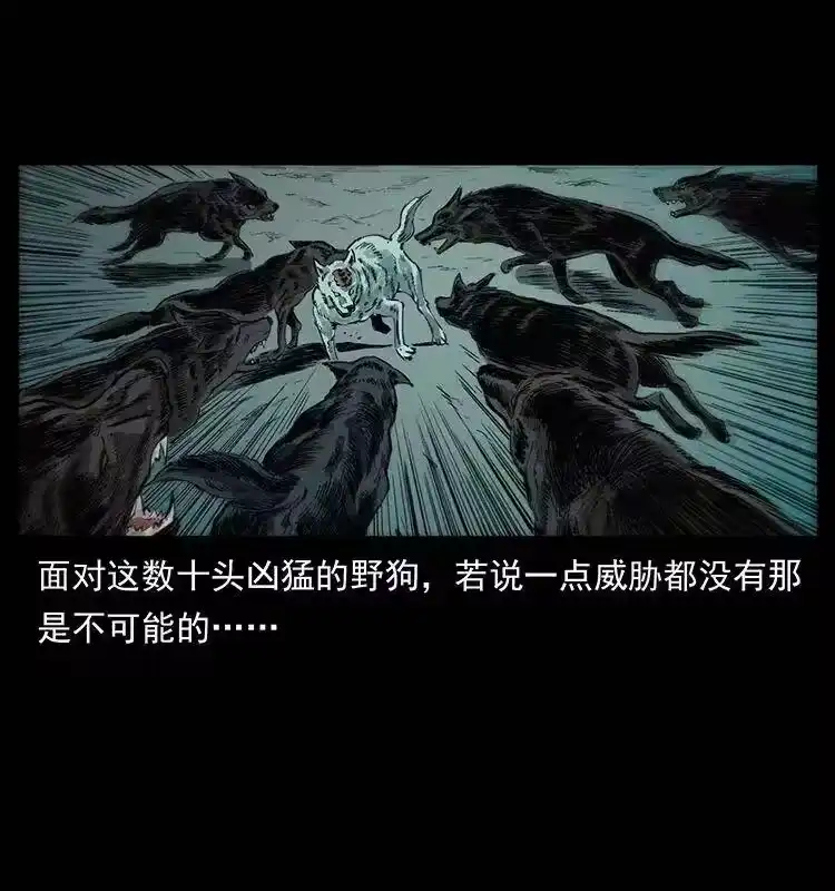 幽冥诡匠_h 344 刨尸狗&大冥皇 第22页