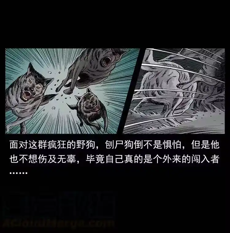 幽冥诡匠_h 344 刨尸狗&大冥皇 第25页