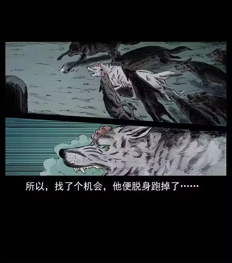 幽冥诡匠_h 344 刨尸狗&大冥皇 第26页