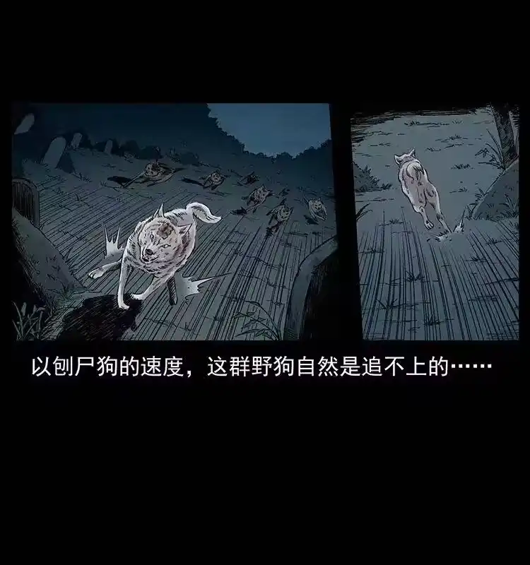 幽冥诡匠_h 344 刨尸狗&大冥皇 第27页