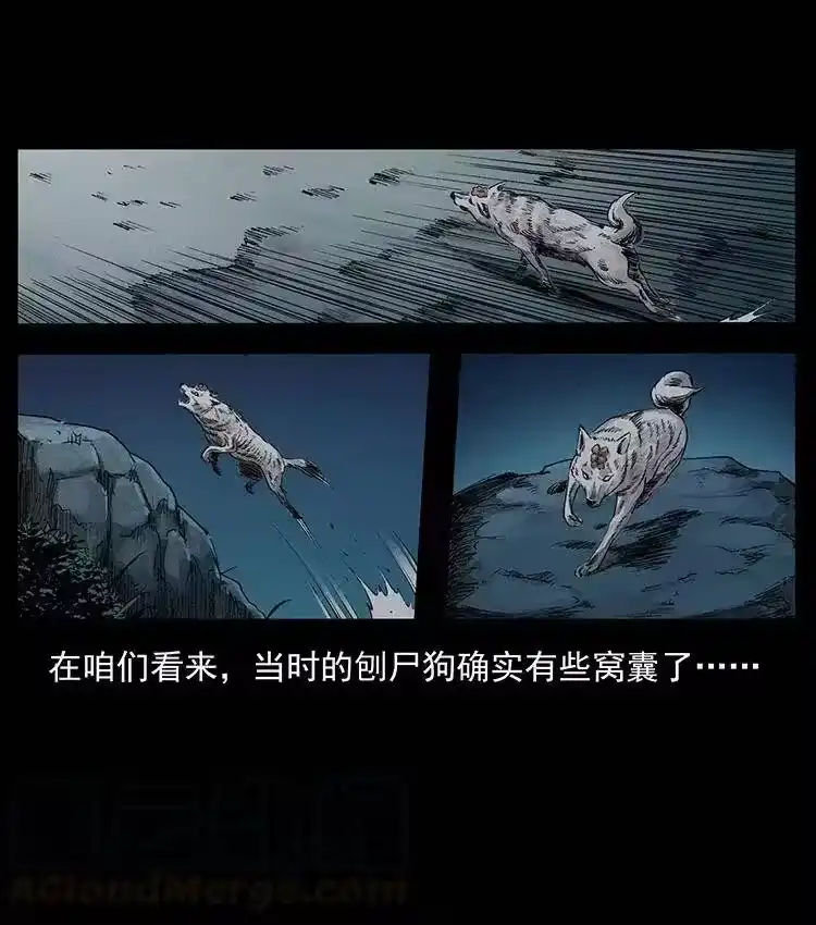 幽冥诡匠_h 344 刨尸狗&大冥皇 第29页