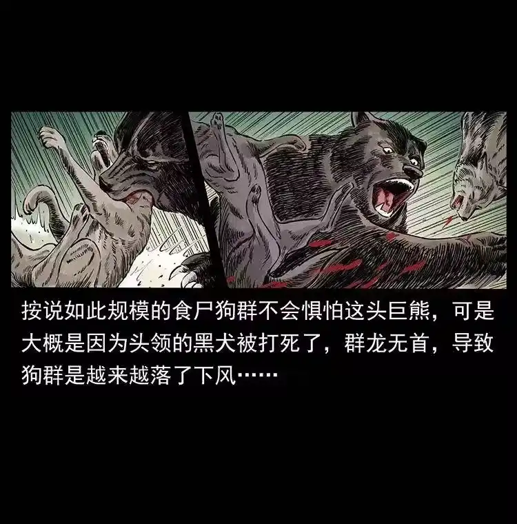 幽冥诡匠_h 344 刨尸狗&大冥皇 第39页